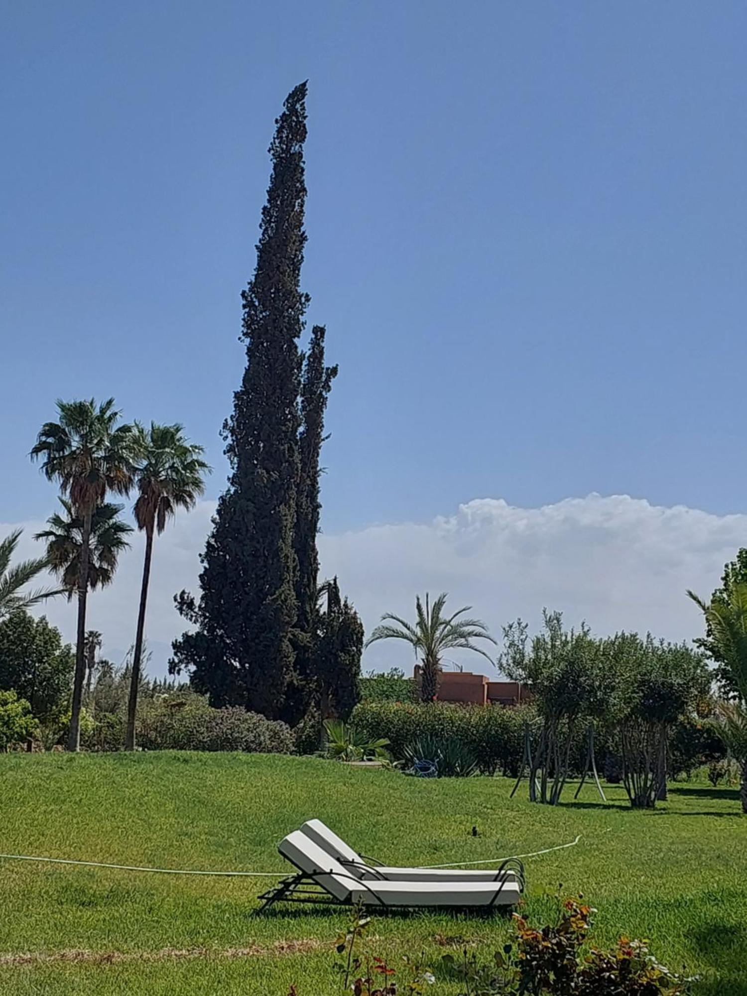 Palais Les Sources De L'Atlas & Spa El Harkat Esterno foto